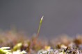 /album/fotogalerie-novy-objektiv-af-s-micro-nikkor-85mm-f-5-5g-ed-vr/dsc-9883-jpg/